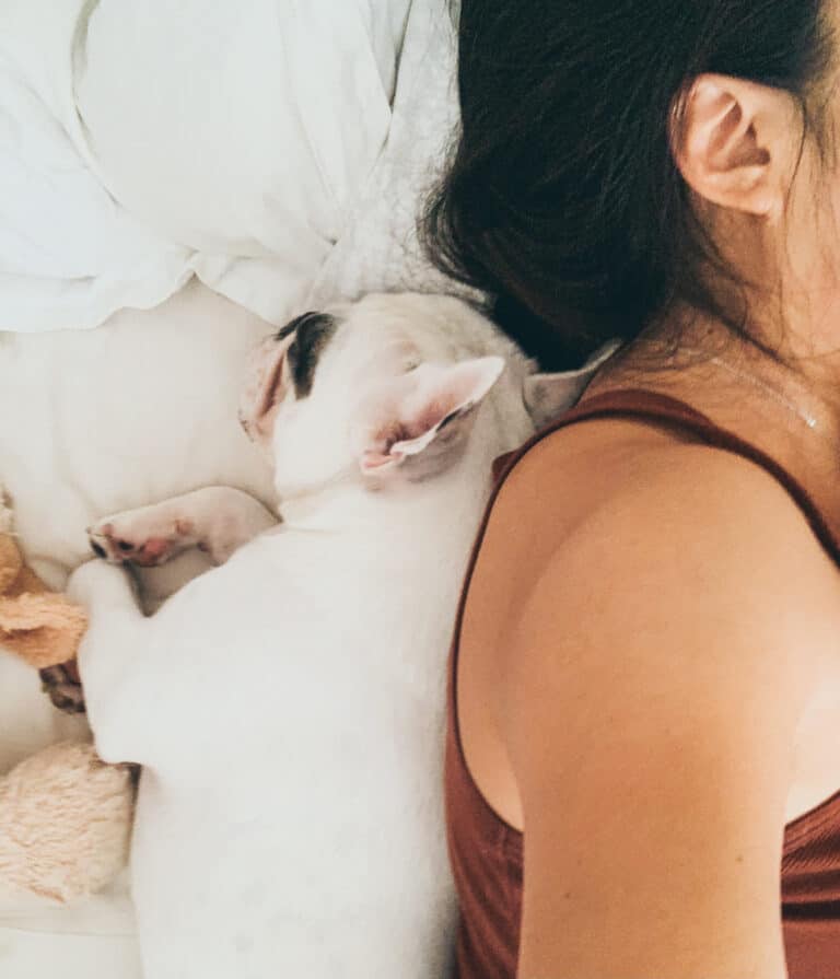 dog sleeping against the back of person